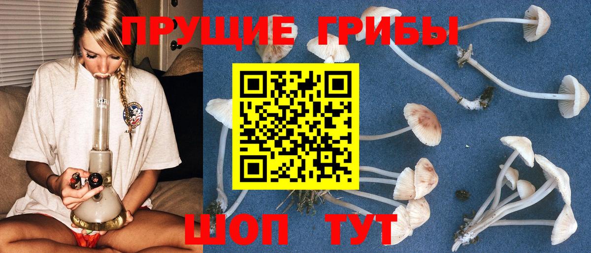 Галлюциногенные грибы мицелий Чусовой