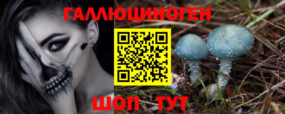 Галлюциногенные грибы MAGIC MUSHROOMS  Вход с VPN  Чусовой 
